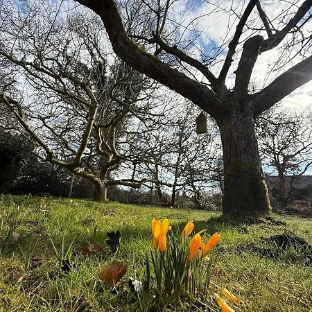 Warf Zentral In Ostfriesland * Aurich