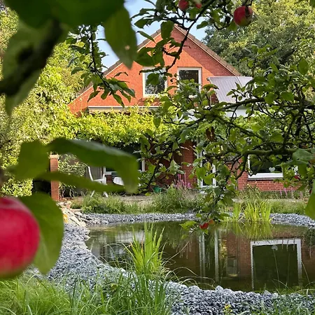 Warf Zentral In Ostfriesland Ferienhaus