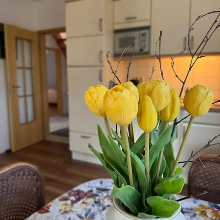 Warf Zentral In Ostfriesland Ferienhaus Aurich (Ostfriesland)