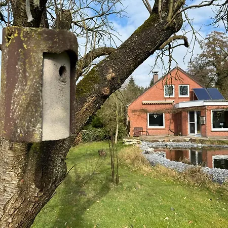 Ferienhaus Warf Mit Wintergarten Kamin Und Teich *
